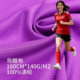 75D涤氨鸟眼布 5g吸湿速干功能性针眼布 动校服T恤涤网眼面料