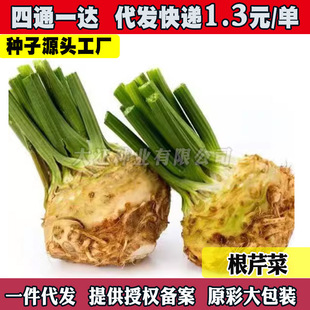 ���۷N���۲˷N���߲��̨���Ѵ����ļ����۲˸������ѷN���N