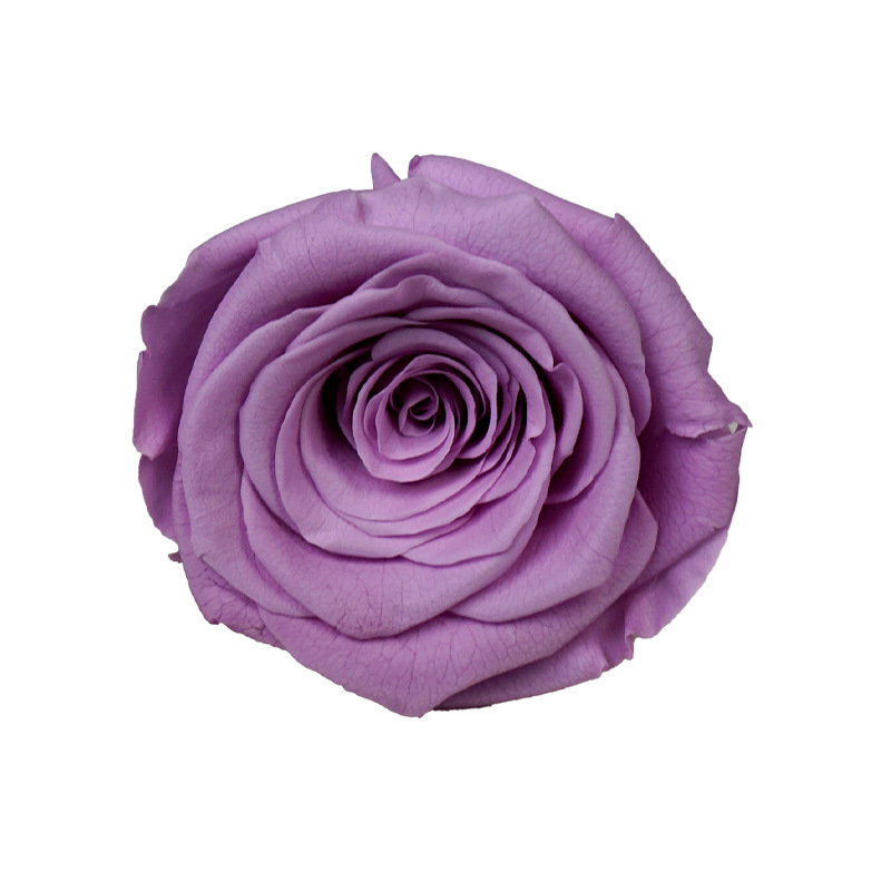 4-5cm 8 Flores, grado B DIY flores eternas, rosas eternas, Yunnan Kunming al por mayor, flores preservadas