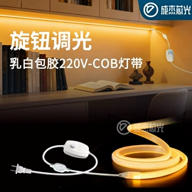 LED灯带;LED灯控制器;LED硬灯条