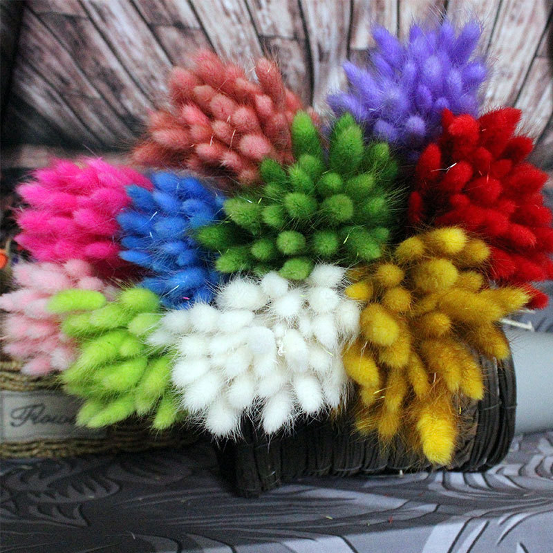 11831895455_511691582