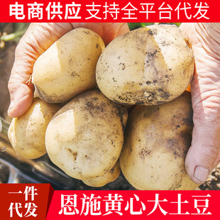 ��ʩ�S�Ĵ������r���ԷN�F�l�����R����a��ֱ�����l�Nֲ��ʩ�خa