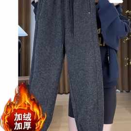 加绒加厚哈伦裤女春季新款2025年束脚裤子梨形身材卫裤大码阔腿裤