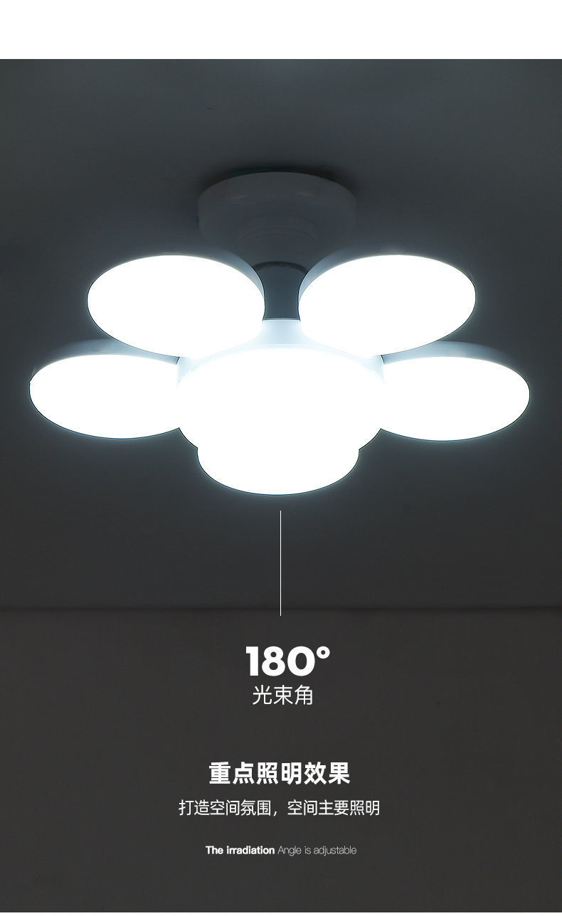 6184461f-8dbc-461d-b145-32198fcfb96c.jpe