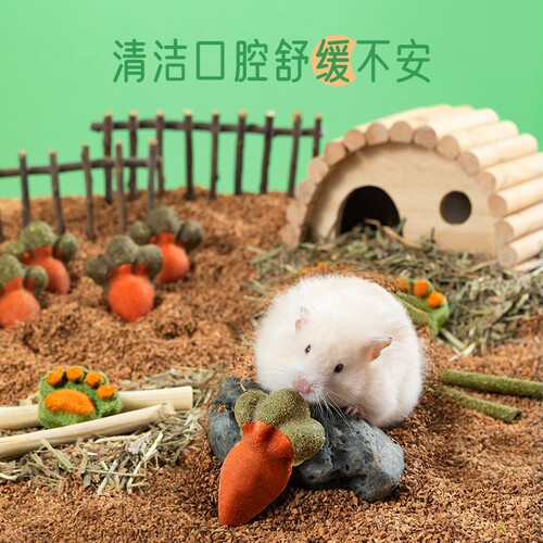 Rabbit Teething Hamster Teething Supplies Wholesale Golden Bear Totoro Edible Teething Snacks Toys Teething Sweet Bamboo