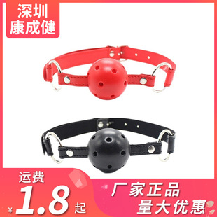 �Ð�SM�����Ȥ��߿������������`Ƥ�������Ȥ����Ʒ���l���l