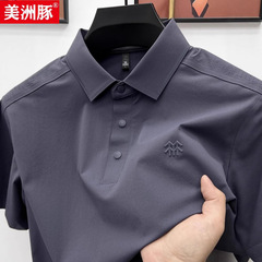 半袖 Tシャツ メンズ 夏新作 速乾 ラペルボトムシャツ メンズ アウトドア スポーツ ポロシャツ メンズ 2025 ビジネス