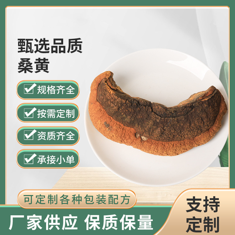 桑黄吉林桑黄人工种植高含量桑树桑臣孔菌金边可切片泡水量大从优
