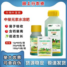 Ӣ���W��˼�}�����}���V�ʷ��ɟ����O���ර��Ě�����Ҹ��}