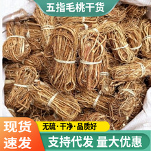 �V���R����ָë�Ҹ�؛�o���؛�Ҝ��������l����о���l�Įa��ֱ�l