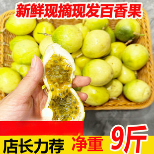 ���鰙Ƥ������S������ښJ��9̖��Ƥ�����r���5����]���uԭ�{