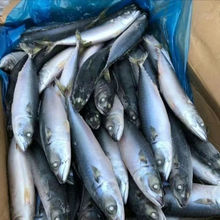 ���r20��������l�~һ��3-4�l��ռ�~�E�~���l���