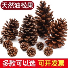 批发松果手工diy材料松塔原木干树枝树干幼儿园儿童天然干花装饰