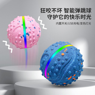 �������������� Type-C��늿��L�m�� ��ĥ��ҧ ׃ɫ����