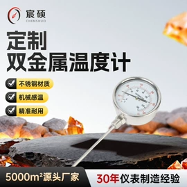 双金属温度计