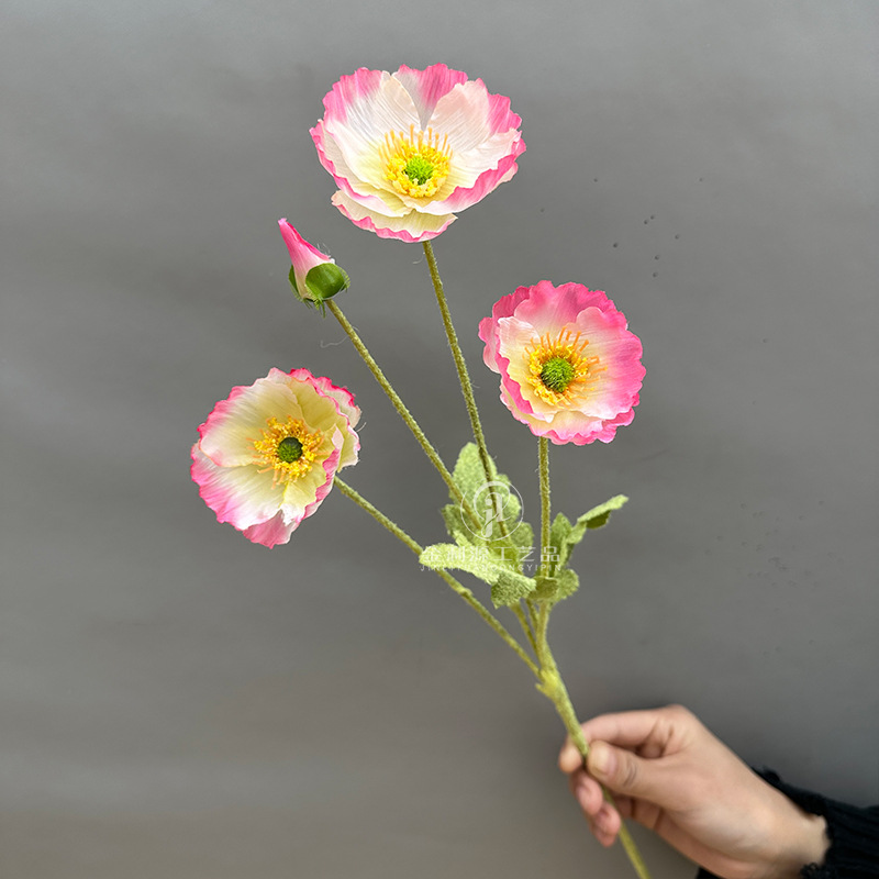 깊은 가장자리 핑크