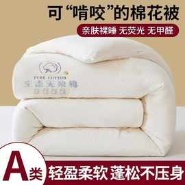 A类新疆纯棉花被子被芯秋冬季棉被棉絮加厚保暖宿舍单人春秋被褥