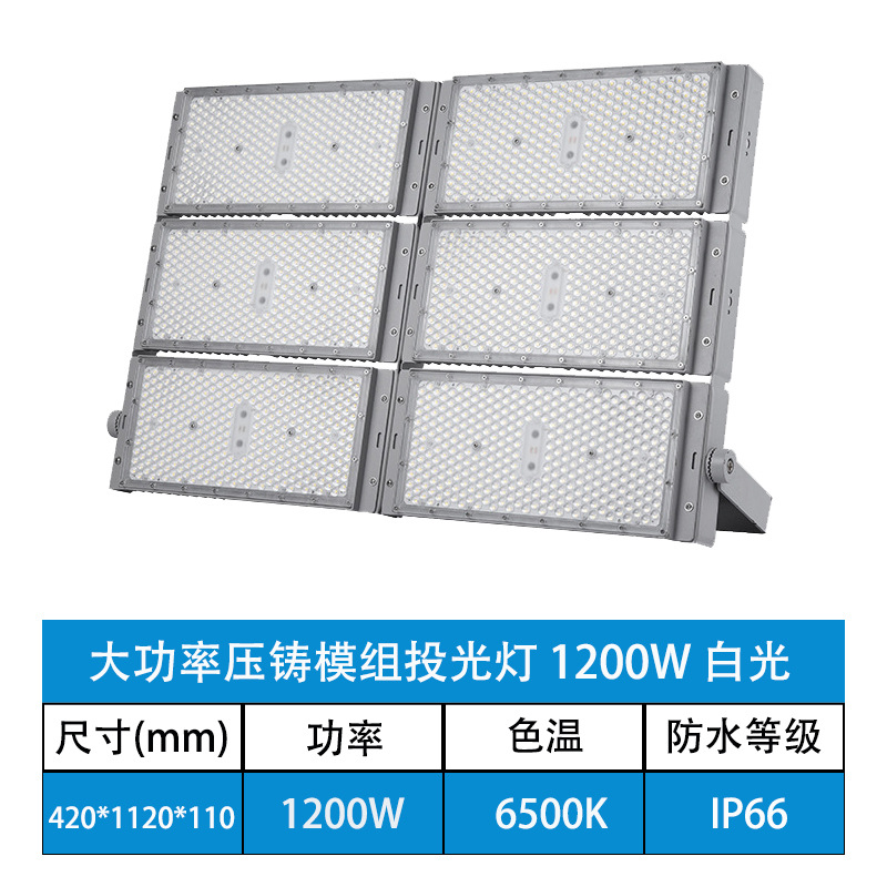 1200w (chip Puri + fuente de alimentación de protección contra rayos)