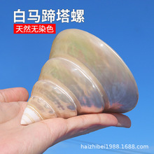 ���l���R��������Ȼؐ��ҹ�⺣���~���쾰�b�Ʒ�˱��[���Ĕz����