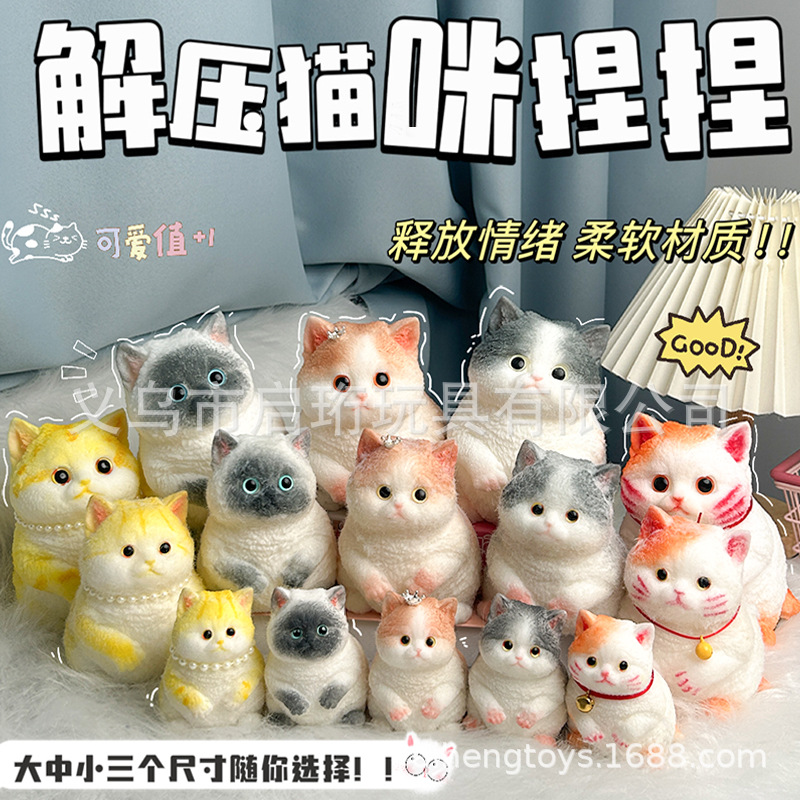 Super lindo gato gordo pellizco pellizco pelliz