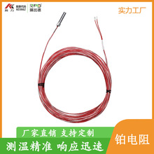 高品质PT100温度传感器 厂家定制各种尺寸铂电阻 带CEUL认证