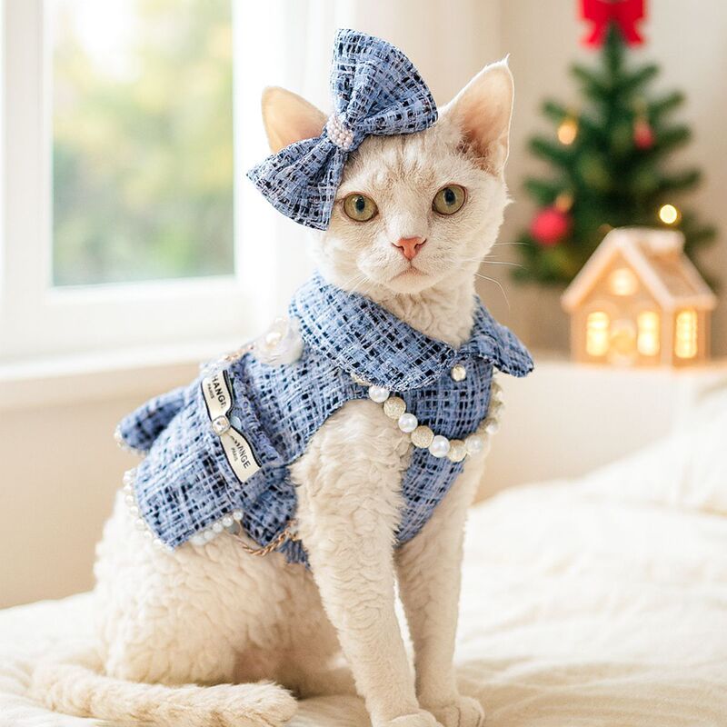现货宠物衣服秋冬款小型犬幼犬快乐狗猫保暖舒适服饰小香风背包裙|undefined