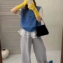 无袖春秋季学院风针织马甲