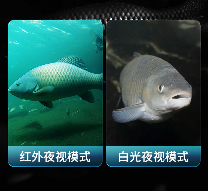 2ea9659f-9b13-4011-8747-f6d5602a4913.jpe