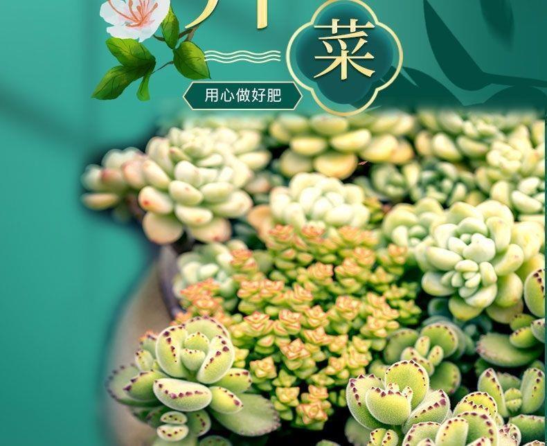 fd013a91-855d-435c-b79f-aef164feb9a1.jpe