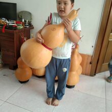 ����С���J�є[������͏d�Ҿ��k���Ҵ���J�����^�̮����