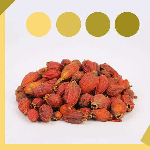 K9HX Wholesale Plant Dye Collection Traditional Printing Grass and Plant Dye DIY Materials Natural Plant Dyes