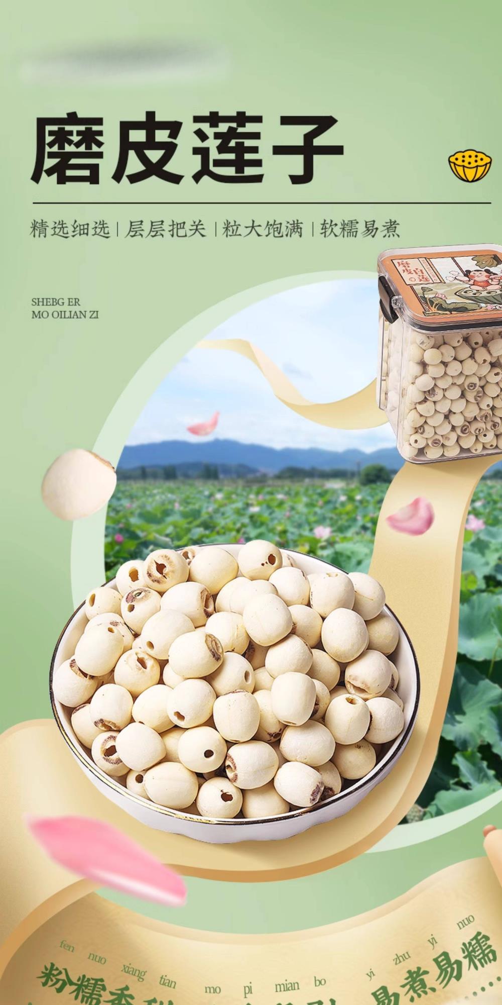 Premium Cored White Lotus Seeds Bai Lian Zi 500g with Goji Berries 250g Dried Jiangxi Specialty for Soup and Congee overview