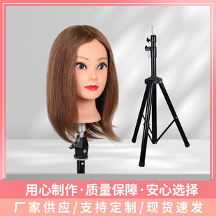 Hairdressing head model full real hair dummy head model head doll head dummy head model real hair can be permed and dyed curly hair cut