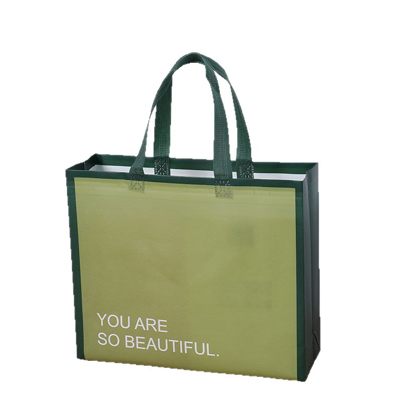 Bolsas de tela no tejida de alta calidad Bolsas personalizadas LOGO personalizadas Bolsas de ropa de mujer lotes