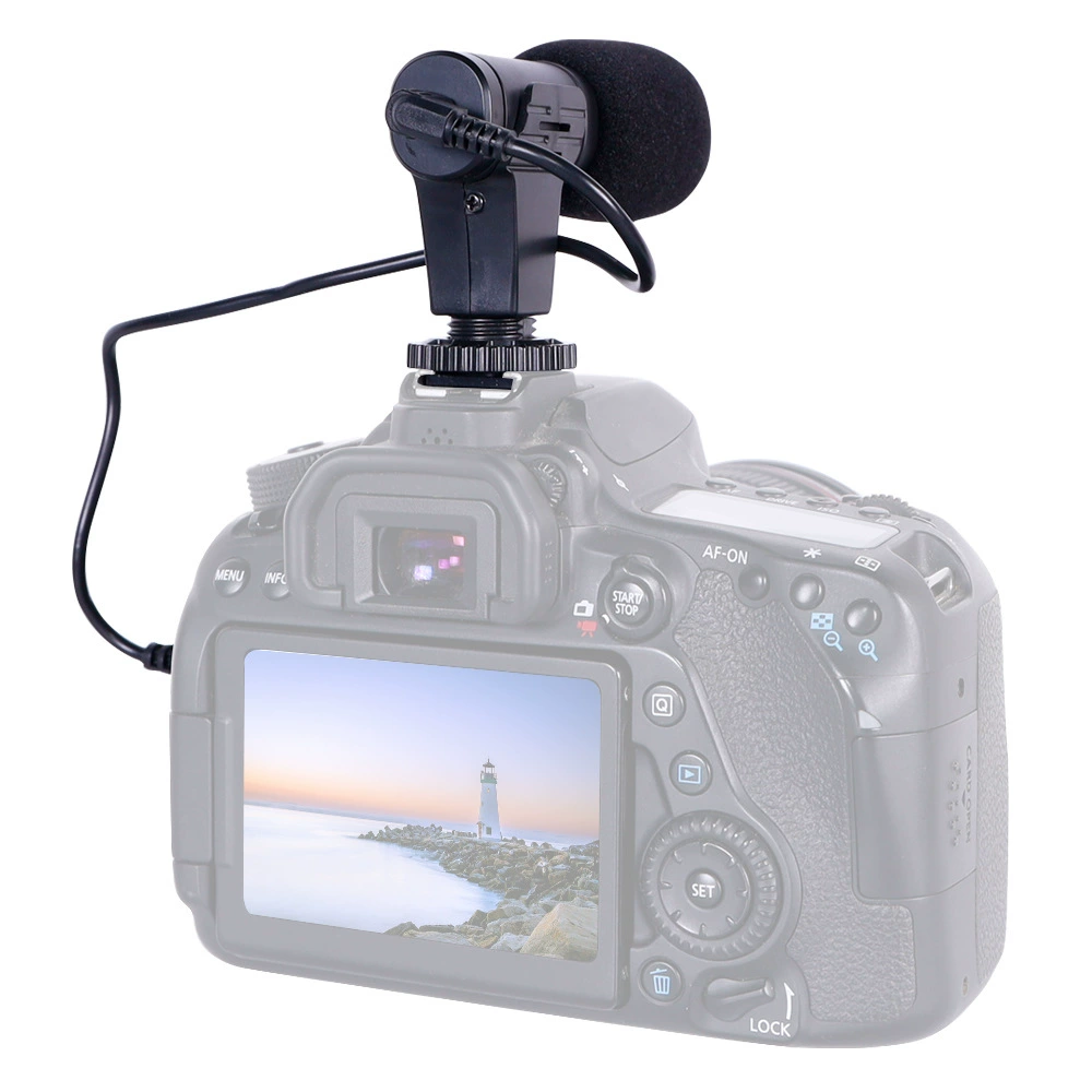 CCTV camera, microphone, mobile phone