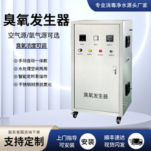 大型工业臭氧发生器水处理杀菌消毒桶装水产养殖泳池高浓度活氧机