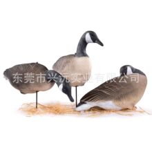 加拿大黑颈鹅雁跨境专供EVA软胶狩猎诱饵大雁户外园林景观仿真鹅