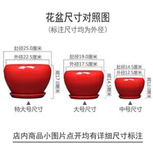 �辰������մɴ������ش�-��-�к�ϲ�����������ֲ����ѷ�羳