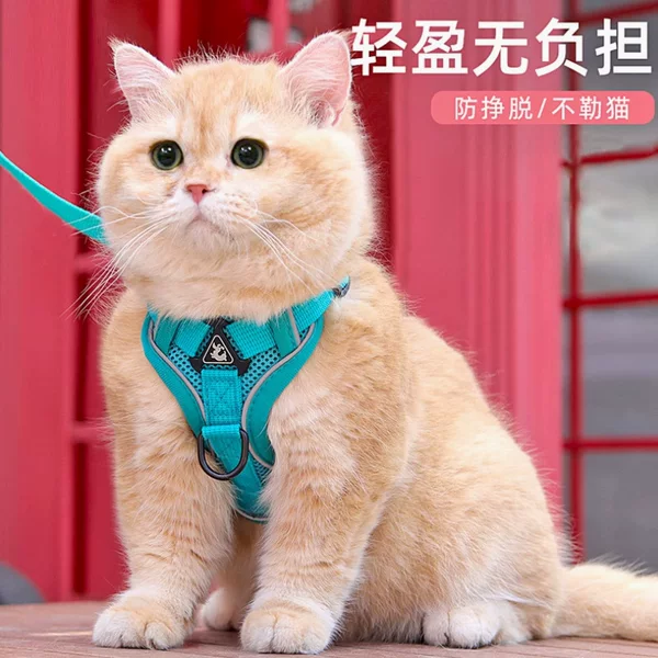 New Cat Traction Rope Vest-style Pet Chest Strap Reflective Breathable Anti-break-free Small Dog Cat Traction Rope