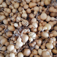 С���J�����J�NֲҰ�����ٺ������恆���ĳǱP�Ƕ���J�������