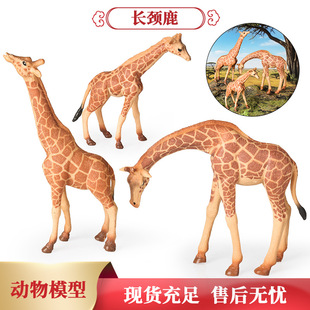 �������ģ���L�i¹��������J֪�����L�i¹ģ�����Ů���к��Y��