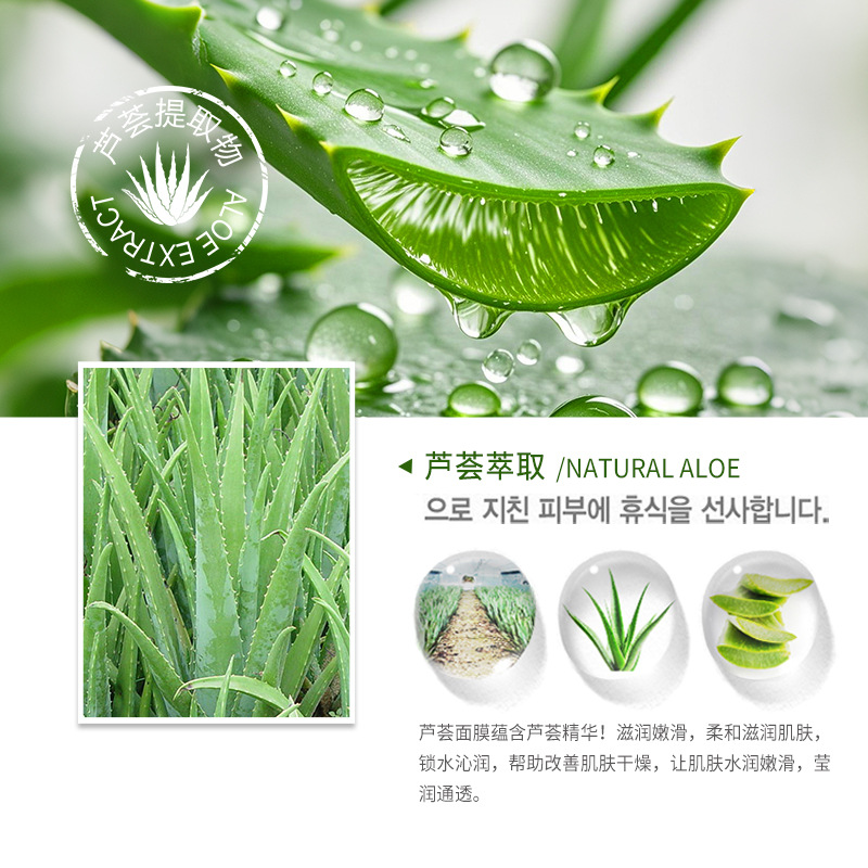 Imagen belleza aloe hidratante máscara facial Esencia de aloe hidratante rejuvenecimiento de la piel levantamiento de la piel máscara facial productos genuinos al por mayor image 4