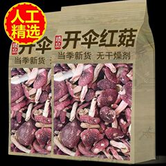 干物野生大輪シイタケの正味重量250グラム月子キノコスープ新鮮紅菌野生菌