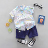 Summer flower boy costume, cartoon dinosaur, shirt, trousers, Korean style, children's clothing, suitable for import, new collection