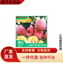 һ�����l�O�����������Ϸ������Nֲ���Ա������O������簫������