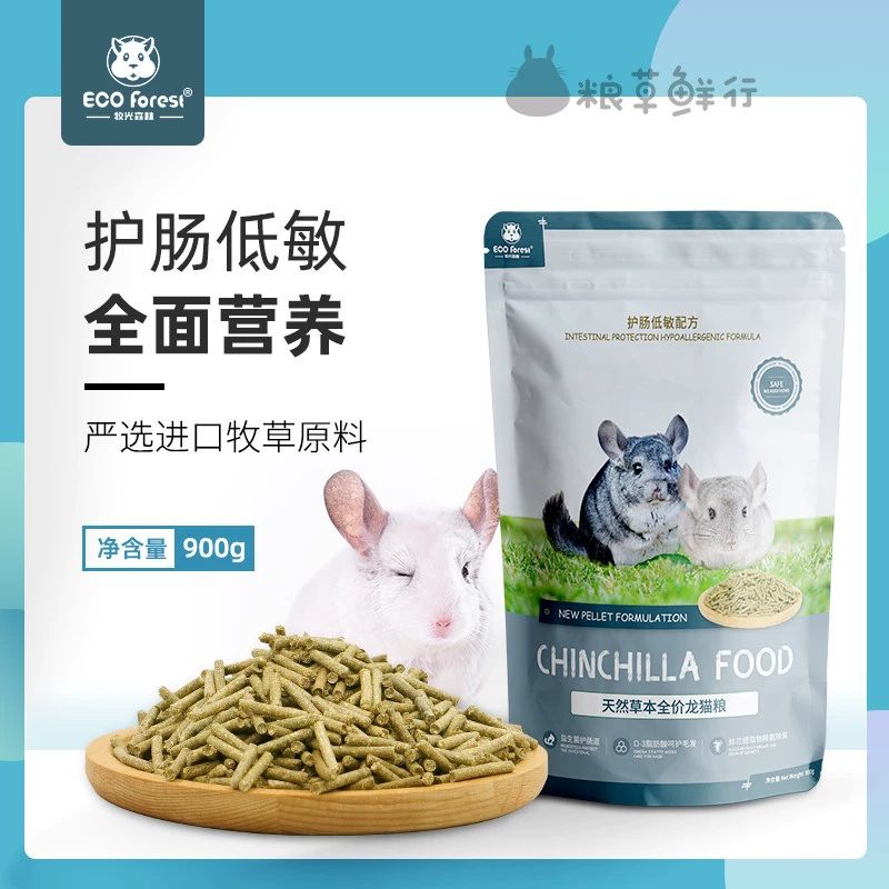 Спот ECO Forest Moguang Forest Dragon Cat Cat Cat Cat