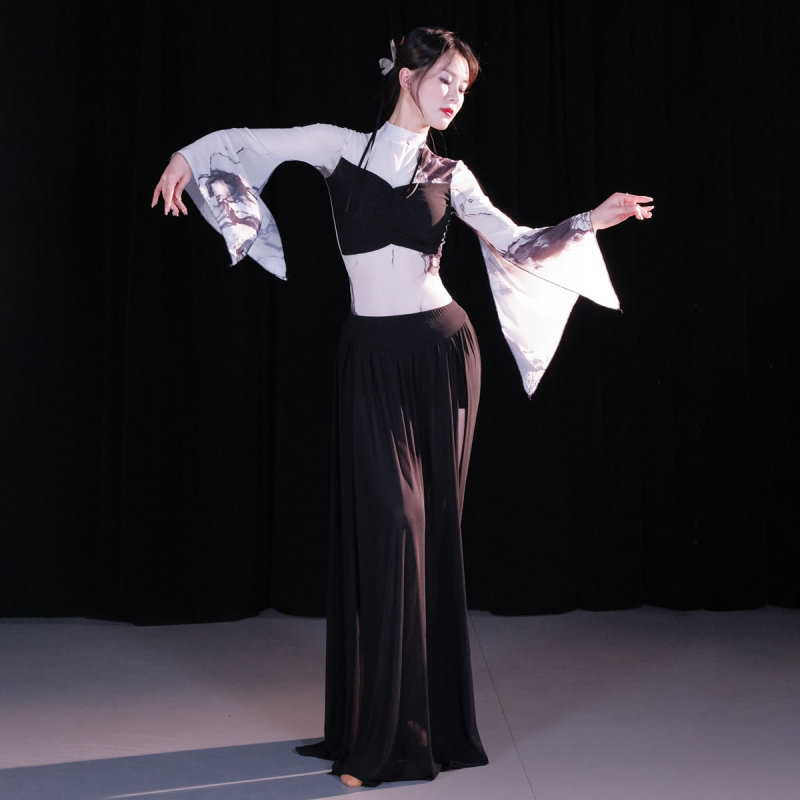 Dancer Belly Dance Costume Spring and Summer New Guofeng Oriental Dance suit Long Sleeve Exercise Fairy Style Exercise Class Costume 5086