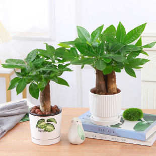 lؔ҃СԾGֲˮֲG}ļBk