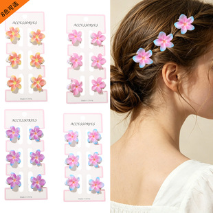 �羳����2.5cm����l�Aץ�A��߅�ȼ��L�^�6�������~�A�l����b