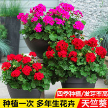 ÿNļ׷N҃ȻܷN̨ԺB@